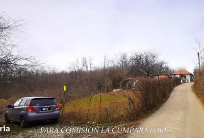 Spațiu comercial, în Vlădești - 5