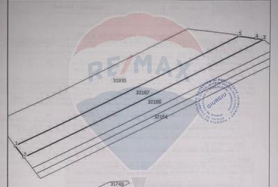 Teren de 66667 mp, în Ulmi - 1