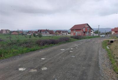Teren Construcții intravilan de 4935 mp, în Periferie