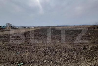 Teren de 5000 mp, în Central