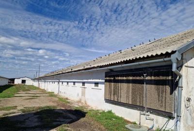 Teren intravilan 26395 mp (fosta Ferma Avicola), Zona Simnic - 2