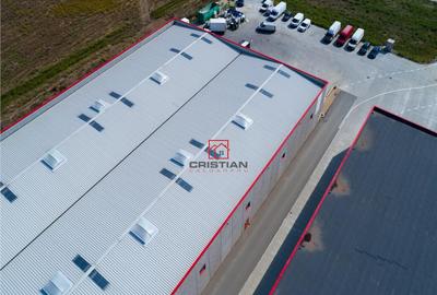 Depozit/spatiu industrial/hala Chitila - Rudeni, ILFOV - 5