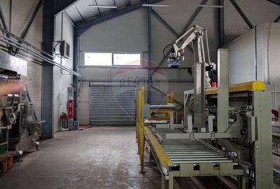 Spațiu industrial, de 1,120 mp, în Dumbrăveni - 18
