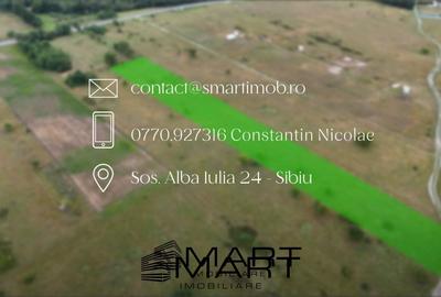 Teren intravilan 5000mp Valea Avrigului - 7