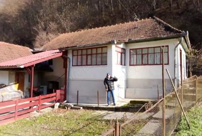 Casă în Brâznic - 5