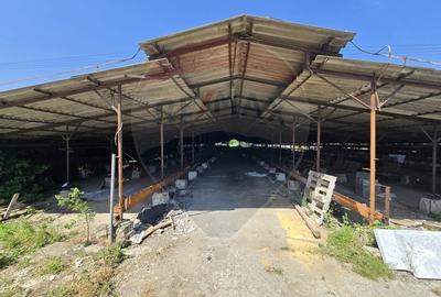 Ferma de vanzare  in Simeria - 6