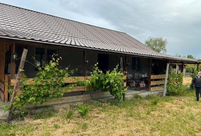 Casă individuală cu 3 camere cu Teren 3300 Mp în Mihăilești-Popești - 5