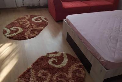 Garsonieră decomandată în Burdujeni - 5