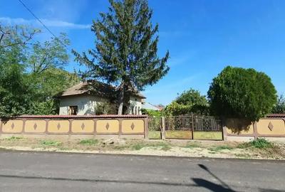 Casă cu 3 camere cu Teren 2871 Mp în Giubega - 1