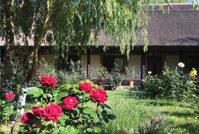 Casă cu 6 camere în Plopul - 11