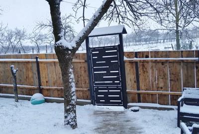 Vand casa la 18km de Arad - 2