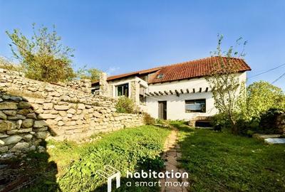 Casă cu 4 dormitoare + piscină în Socolari – ideală pentru investiție - 2