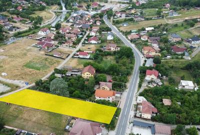 TEREN - VLADESTI, 2089 MP - 2