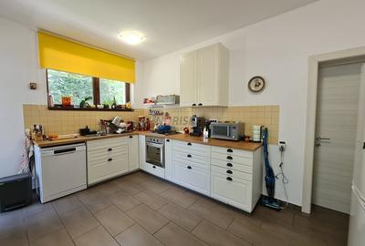 Vila Deosebita - Mogosoaia - 12