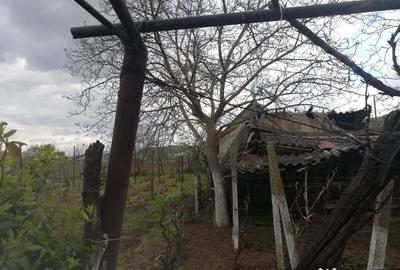 Casă cu 3 camere în Balabancea - 1