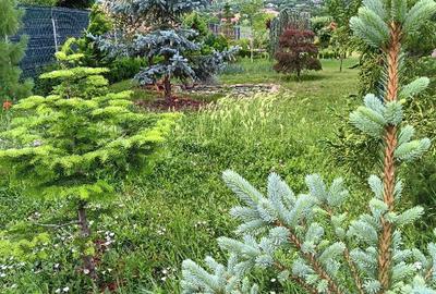 Proprietar, parter la casa cu etaj, Mogosesti - Iasi, 10 km Proprietar, parter la casa cu etaj, Mogosesti - Iasi, 10 km - 15