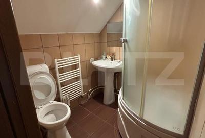 Cabana de vanzare Marisel - afacere la cheie! - 9