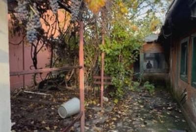 Teren Bucurestii Noi Chitila - 3