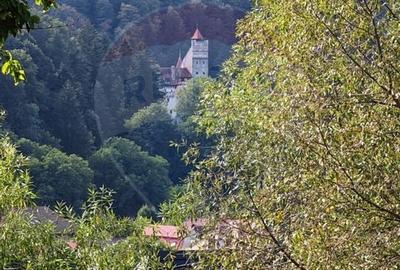 Teren 5,174mp Bran / Strada Colibasilor la 800 m de centrul Branului - 1