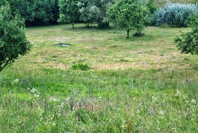 Teren Construcții intravilan de 5700 mp, în Câmpulung Muscel - 10