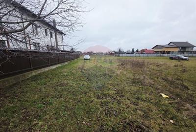 Teren 519mp Dumbrava Rosie / Strada CRANGULUI - 30