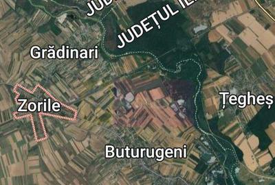 Teren 14300mp com.Gradinari - 2