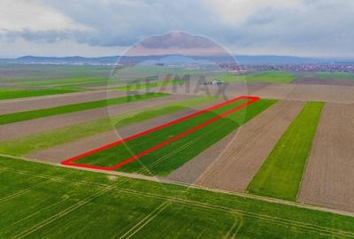 Teren agricol extravilan de 17700 mp, în Prejmer