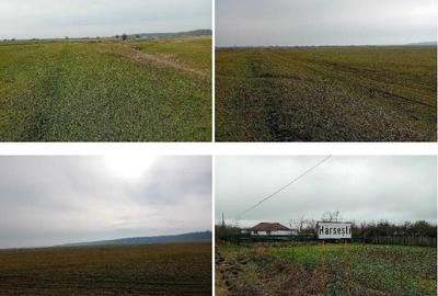 Teren de 635 mp, în Hârsești - 8