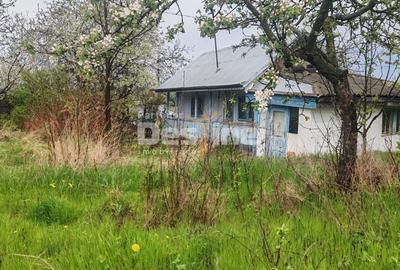 Spațiu comercial, în Poiana - 1