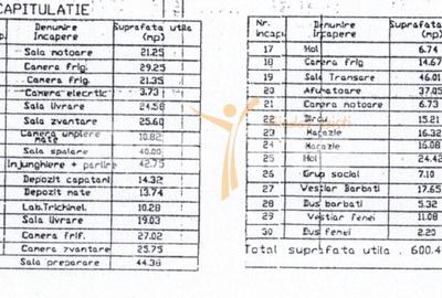 Proprietate specială, de 771 mp, în Jegălia - 2
