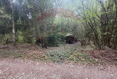 Casă cu 14 camere cu Teren 62330 Mp în Horea - 52