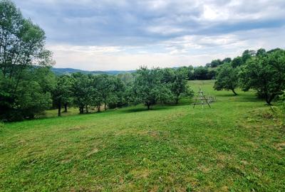 Teren Construcții intravilan de 5700 mp, în Câmpulung Muscel - 13