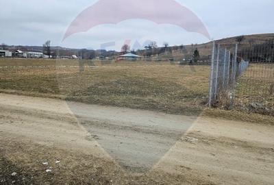 TEREN  INTRAVILAN 5,000mp ORAS CISNADIE  STR.  SELIMBARULUI - 4