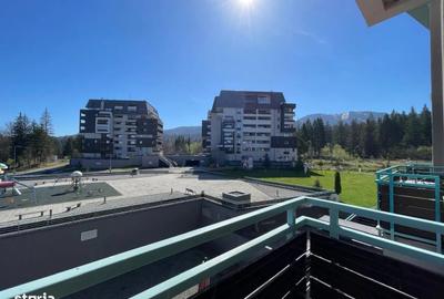 Apartament de Închiriat – Silver Mountain Resort - 14