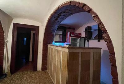 Spatiu comercial la 5 minute de centru Timisoara - 9