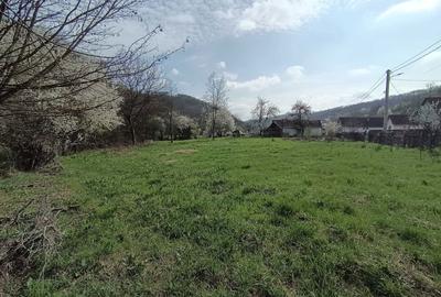 Casă cu 2 camere în Șoimoș - 2