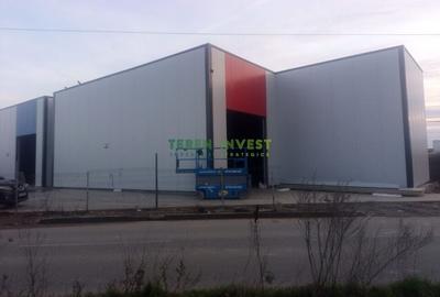 Spațiu industrial, de 242 mp, în Theodor Pallady