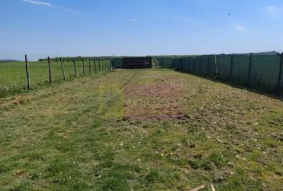 Teren cu constructie de vanzare in Urleta - 14