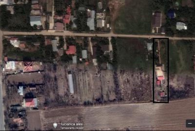 Casă individuală cu 6 camere cu Teren 1800 Mp în Lucianca - 10