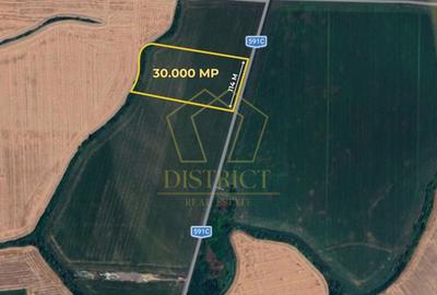 Teren agricol extravilan de 30000 mp, în Săcălaz - 2