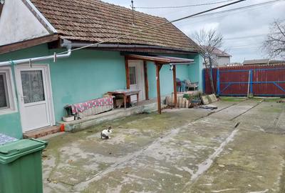 Casa de vanzare in Cenad judetul Timis - 1