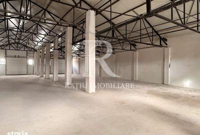 Spațiu comercial, de 540 mp, în Cantemir - 8