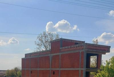 Casă cu 4 camere în Viile Satu Mare - 3