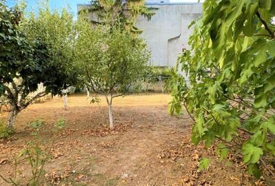 Vila Arcul de Triumf, individuala, teren 720 mp, 550 mp utili Vila Arcul de Triumf, individuala, teren 720 mp, 550 mp utili - 3