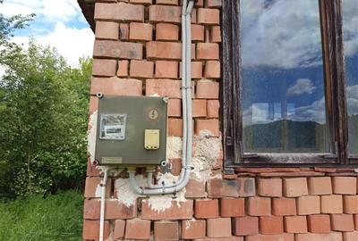 Teren agricol extravilan de 16000 mp, în Borlovenii Noi - 4