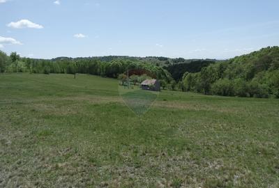 Teren de vânzare în PRELUCA NOUA - 1