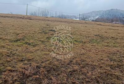 Spațiu comercial, în Vișagu - 10