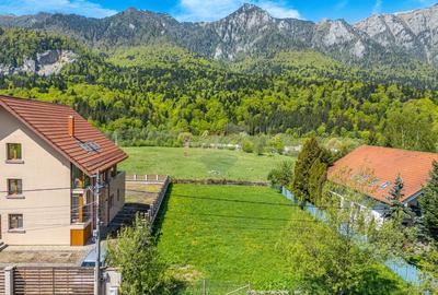 Teren intravilan pentru construc?ii in sta?iunea monta... - 13