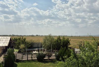 Casă cu 4 camere cu Teren 28000 Mp în Baba Ana - 8