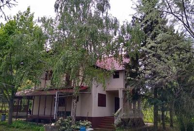 Casă cu 4 camere cu Teren 2200 Mp în Cuvin - 1